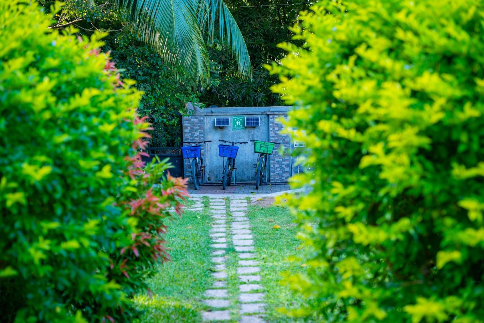 Pension Michel Villa Roche Bois La Digue Exteriér fotografie